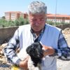 Seyir halindeki kamyon kasasından kuzu düştü Seyir halindeki kamyon kasasından kuzu düştü