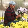 Filistinli Mümin nadir çiçek türleri üreterek İsrail'in tekeliyle mücadele ediyor