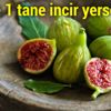 Beyaz incirin faydaları saymakla bitmiyor Beyaz incirin faydaları saymakla bitmiyor