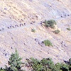 Tunceli'de sıcak saatler! PKK'lı gruplar toplu halde...