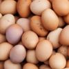 Irak yumurta ithalatını durdurdu, yumurta üreticisi zorda Irak yumurta ithalatını durdurdu, yumurta üreticisi zorda