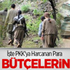 Bakan Açıkladı! İşte PKK'ya Harcanan Para