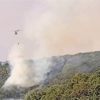 OGM'den Tunceli'deki yangınla ilgili açıklama