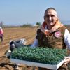 Tarımsal ürün alanlarına yerinde inceleme