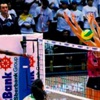 Dişi Kanarya doludiz gin Dişi Kanarya doludiz gin