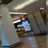 Çalındıktan 6 sene sonra köpeklerine kavuştular Çalındıktan 6 sene sonra köpeklerine kavuştular