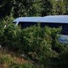 Samsun'da düğün dönüşü kaza: 16 yaralı Samsun'da düğün dönüşü kaza: 16 yaralı