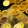 Gram altın ne kadar? | Çeyrek Altın Kaç Lira (20 Kasım altın fiyatları)