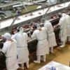Gıdada 650 bin nefer işbaşında Gıdada 650 bin nefer işbaşında