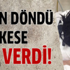 Emre şimdi yandı! TFF ve MHK... Emre şimdi yandı! TFF ve MHK...