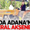 Çukurova'nın Akşeneri Çukurova'nın Akşeneri