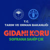 "Gıdanı koru, sofrana sahip çık" kampanyası dünya rekoruna koşuyor