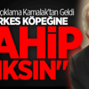 Mustafa Kamalak: Herkes Köpeğine Sahip Çıksın