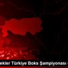 Genç Erkekler Türkiye Boks Şampiyonası sona erdi Genç Erkekler Türkiye Boks Şampiyonası sona erdi