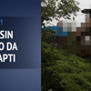 Kuzenine inat ceviz ağacına ev yaptı Kuzenine inat ceviz ağacına ev yaptı