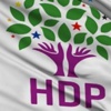 1 Kasım 2015 Seçimleri | HDP oyların yüzde kaçını aldı, barajı aştı mı?