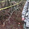 Ormanda bulunan tank mermisi, kontrollü imha edildi Ormanda bulunan tank mermisi, kontrollü imha edildi