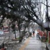 İzmir'de orman yangını... İzmir'de orman yangını...