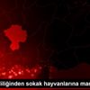 Niğde Valiliğinden sokak hayvanlarına mama desteği Niğde Valiliğinden sokak hayvanlarına mama desteği