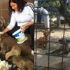 Barınakta iç sızlatan görüntüler Barınakta iç sızlatan görüntüler
