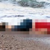 Ekşi Sözlük'ten Suriyeli bebek için çirkin yorumlar Ekşi Sözlük'ten Suriyeli bebek için çirkin yorumlar