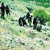 PKK’lı terörist: Örgüte katılım yok PKK’lı terörist: Örgüte katılım yok