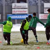 Timsah'a kar engeli