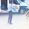 Bu sefer insan öldürdü Bu sefer insan öldürdü
