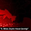 Muğla da "6. Milas Zeytin Hasat Şenliği" Muğla da "6. Milas Zeytin Hasat Şenliği"