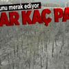 SON DAKİKA: Antalya ve Muğla'da orman yangınları 127 bin hektar alanı kül etti! Zarar 2 milyar TL'nin üzerinde SON DAKİKA: Antalya ve Muğla'da orman yangınları 127 bin hektar alanı kül etti! Zarar 2 milyar TL'nin üzerinde