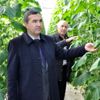 Teknolojik termal seralarda salatalık üretimi Teknolojik termal seralarda salatalık üretimi