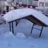 Bitlis te yolu kapalı olan 70 köy için çalışmalar ... Bitlis te yolu kapalı olan 70 köy için çalışmalar ...