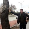 Mahkeme 50 bin liralık ağaç kesme cezasının 38 bin ... Mahkeme 50 bin liralık ağaç kesme cezasının 38 bin ...