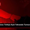 7. Uluslararası Türkiye Açık Tekvando Turnuvası sona ... 7. Uluslararası Türkiye Açık Tekvando Turnuvası sona ...