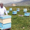 Balcıların sorunu da girdi maliyetleri Balcıların sorunu da girdi maliyetleri