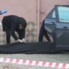 Arkadaş katili polisleri şok etti Arkadaş katili polisleri şok etti