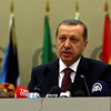 Afrikalılara paralel uyarısı Afrikalılara paralel uyarısı
