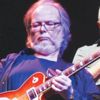 Gitarist Walter Becker yaşamını yitirdi