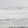 Havalimanında uçak kuyruğu Havalimanında uçak kuyruğu