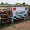 İDDEF, kurban organizasyonuna hazır İDDEF, kurban organizasyonuna hazır