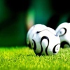 PTT 1. Lig'de 33. hafta hakemleri PTT 1. Lig'de 33. hafta hakemleri