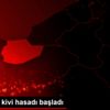Düzce de kivi hasadı başladı Düzce de kivi hasadı başladı