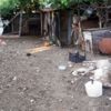 Ağıla giren sokak köpekleri 10 koyunu telef etti Ağıla giren sokak köpekleri 10 koyunu telef etti