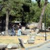 Niksar, turizm pastasındaki payını artırmak istiyor