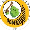 İsealim.ogm.gov.tr: 14 Ekim OGM, mülakatsız tekniker ve büro memuru alımı başvuru sayfası! OGM personel alımı şartları