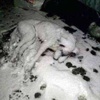 Sosyal medyayı sallayan fotoğraf! Sosyal medyayı sallayan fotoğraf!