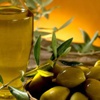 Zeytinci, Avrupalı üreticinin aldığı primin yarısını istiyor Zeytinci, Avrupalı üreticinin aldığı primin yarısını istiyor