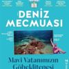 “Rüzgâr esmeden deniz kıpırdamaz” “Rüzgâr esmeden deniz kıpırdamaz”