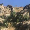 Pençe-2 Operasyonunda komandolar teröristlere göz açtırmıyor