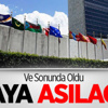 O Bayrak BM'ye Asılacak